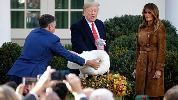 Melania Trump Wears Head-To-Toe Suede Outfit To The White House Turkey Pardon — Pics