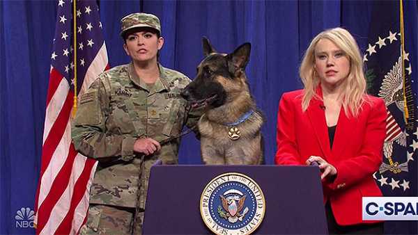 ‘SNL’: Cecily Strong & Hero Dog From ISIS Raid Hilariously Address ‘Dog Twitter’ Drama