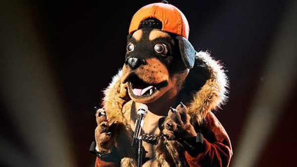 ‘The Masked Singer’: The Top Clues About The Identity Of The Rottweiler