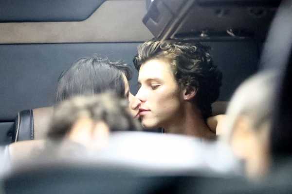 Camila Cabello and Shawn Mendes Kissed on Party Bus After Grammys 2020