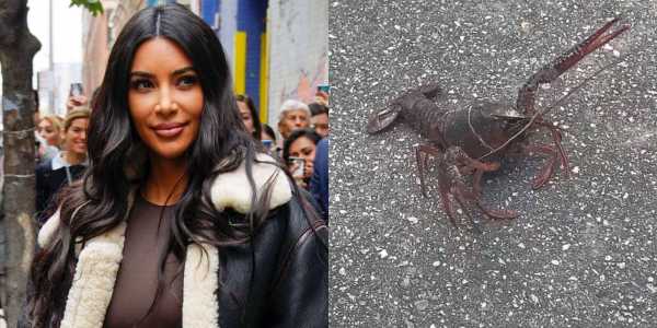 Twitter Reacts to Kim Kardashian Finding a Live Lobster Walking Down Her Street