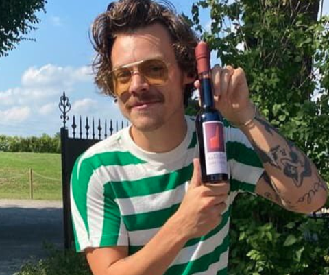 Harry Styles Debuted a Mario Mustache