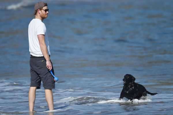 See Photo of Prince Harry’s Off-Duty, Cali Beach Style