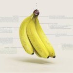 Honorary Mention - Totally Bananas by Max Gubbins