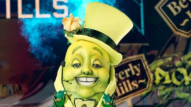 ‘The Masked Singer’s Pickle Revealed on 2000s Night: I’m ‘Shocked’ I Didn’t ‘Win the Entire Thing’