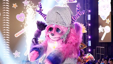 The Masked Singer’s Cuddle Monster Revealed as Former NBA Champion: ‘It Was Worth All the Sweat’