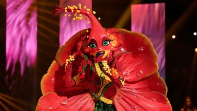 The Masked Singer’s Hibiscus Revealed as ‘Real Housewives’ Star: The Show Was an ‘Unbelievable Experience’