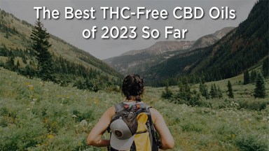 The Best THC-Free CBD Oils of 2023 So Far