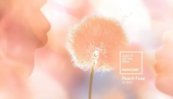 Soft, sensual and contemporary, 'Peach Fuzz' is set to be the color of 2024