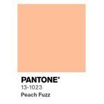 "Peach Fuzz 13-1023" has been chosen as Pantone's color of the year 2024.
