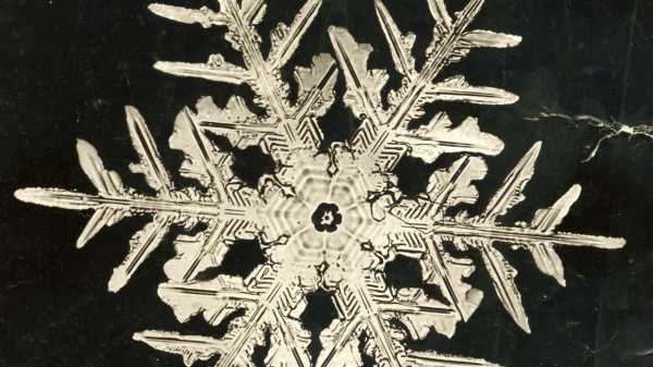 The Man Who Captured the Unique Beauty of Snowflakes