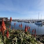 The next 2026 World Perfumery Congress (WPC) will take place from June 23-25, 2026, at the Monterey Conference Center in Monterey, California (Photo: courtesy of ASP)