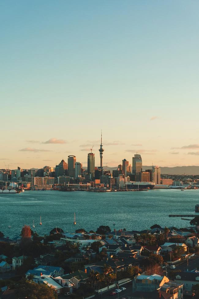 Photo: Sulthan Auliya on Unsplash6