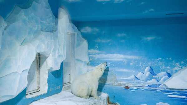 The Futility of Simulating Nature