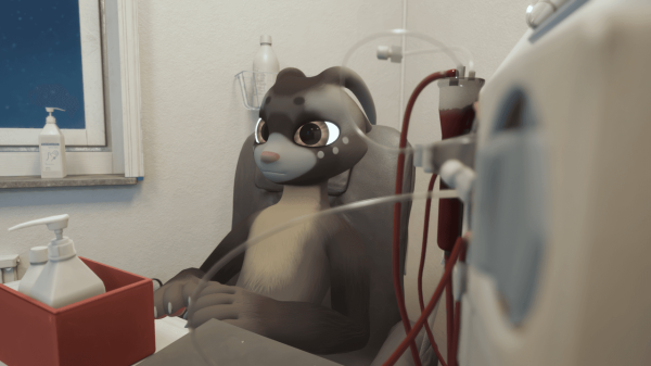 How the Bonds Among Virtual-Reality Furries Saved a Life, in “The Reality of Hope”
