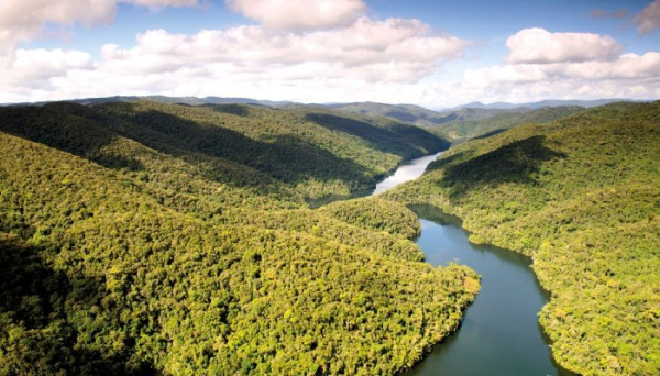 IFF to open a bioprospecting lab in the heart of Brazil’s Atlantic Forest