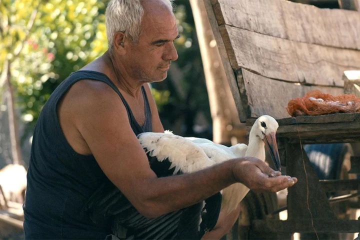 7 best lines from the Venice Film Festival4