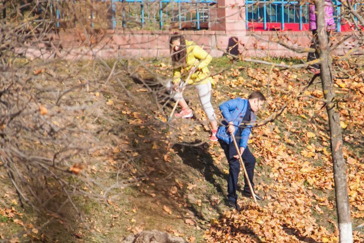 Competitions and tea drinking. Creative clean-up days to be held in Minsk on October 15