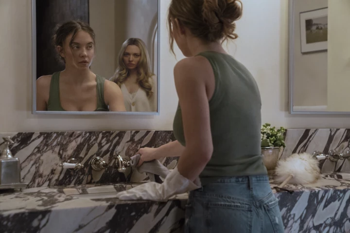 Everything you know about the thriller "The Maid" from Sydney Pig2