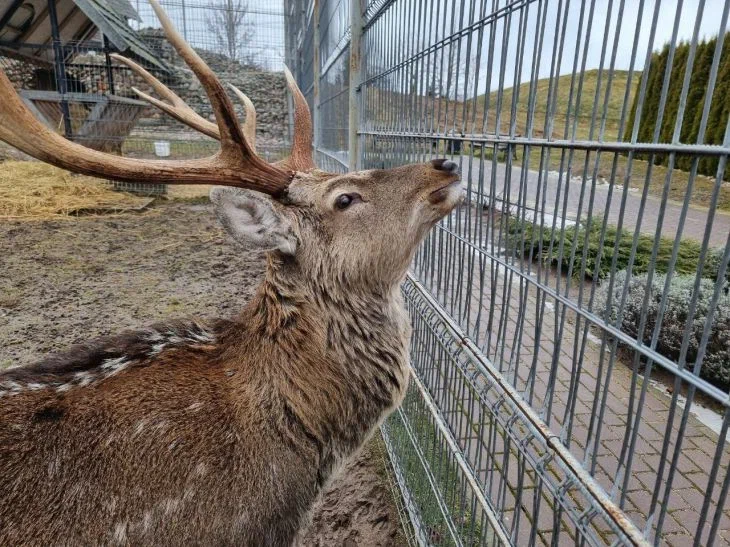 The most interesting zoos in the world