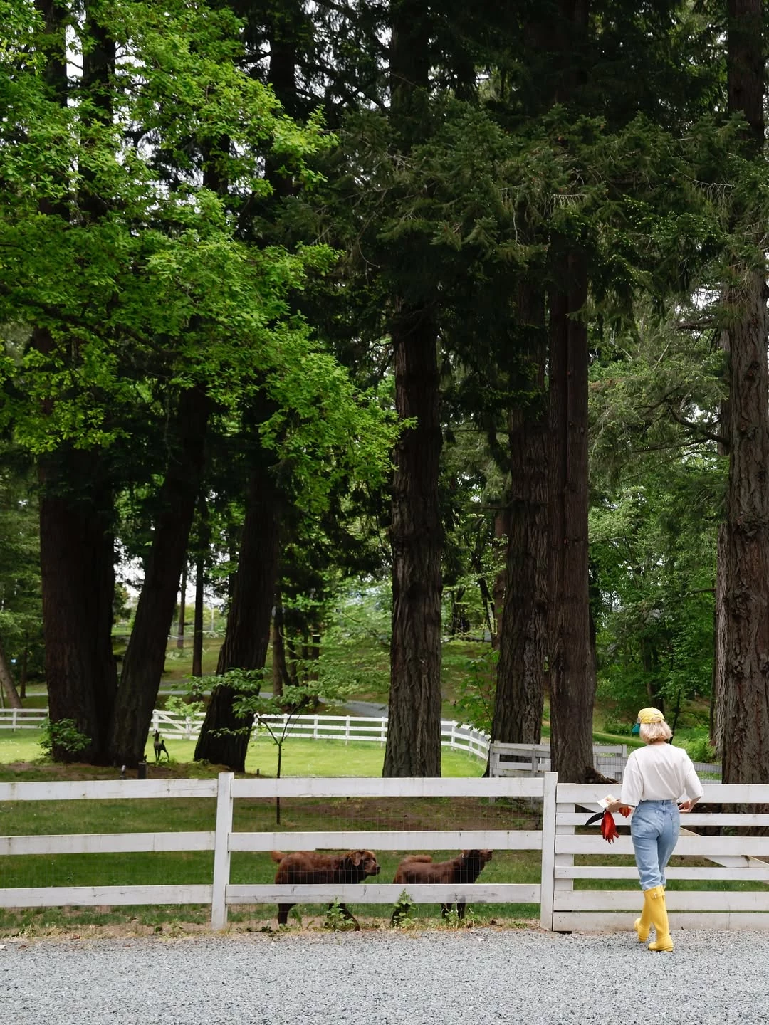 Visiting Pamela Anderson: the actor showed off her home on Uzberezhzhia5