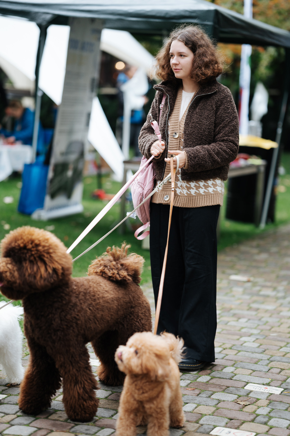 Prague Restaurant's Classic Fall Festival: A Recap
16