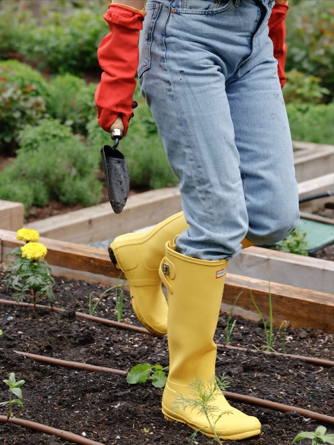 Visiting Pamela Anderson: the actor showed off her home on Uzberezhzhia2