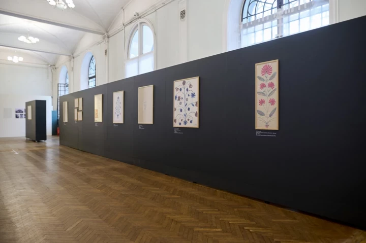 9 of the most important exhibitions in Kiev3