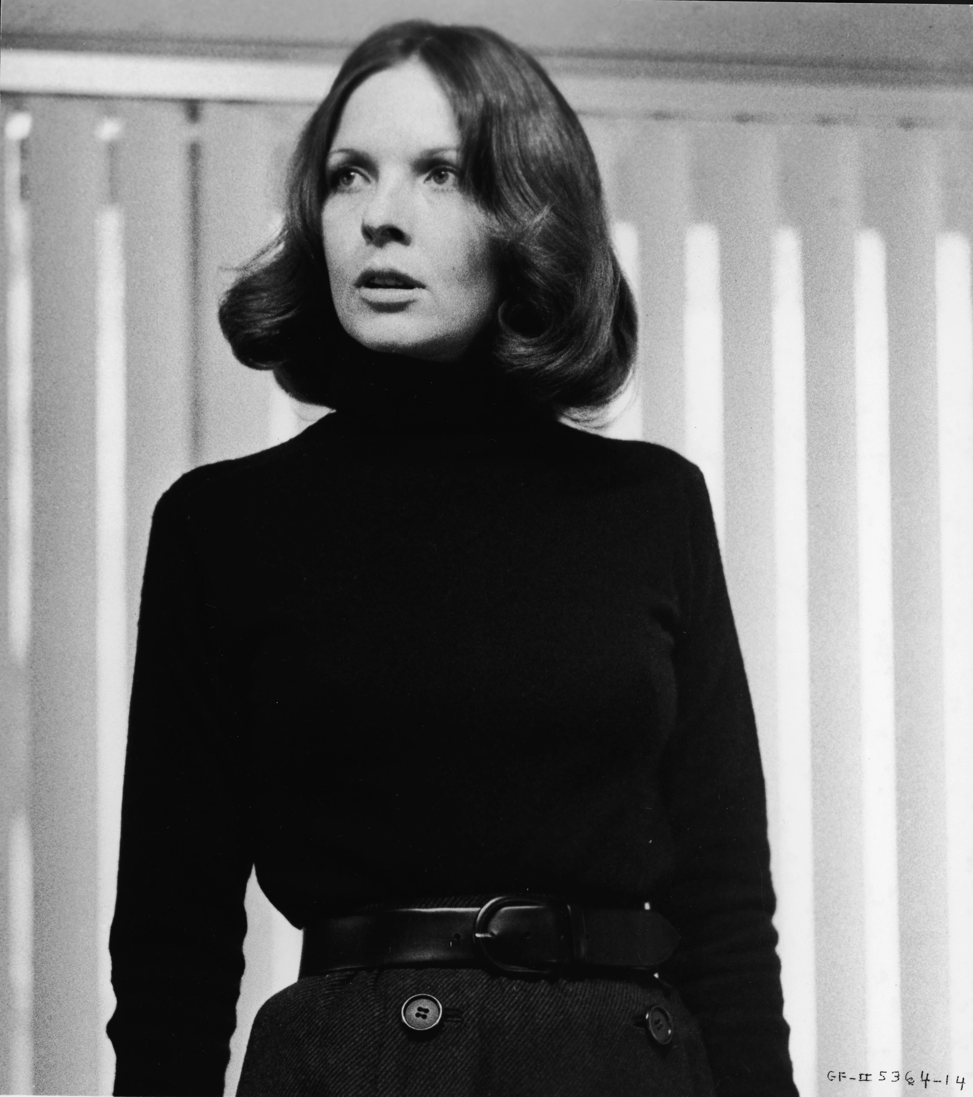 Diane Keaton on film1
