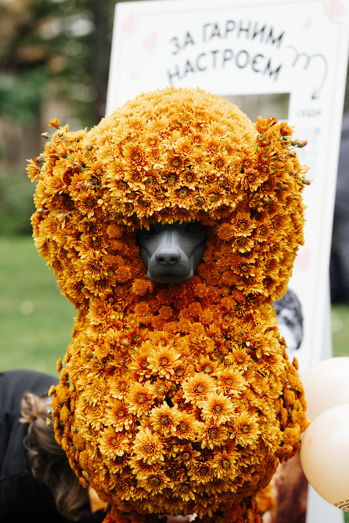 Prague Restaurant's Classic Fall Festival: A Recap
1