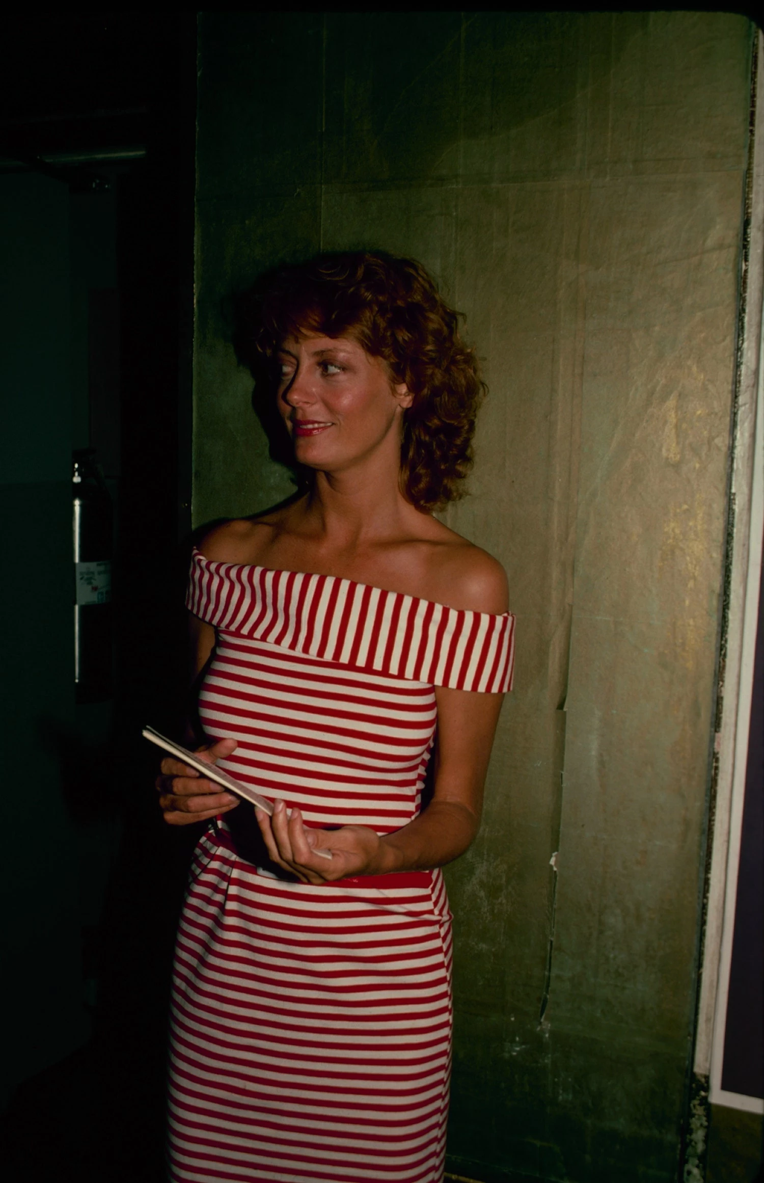 Sarandon's Best Retro Styles to Try Now
5