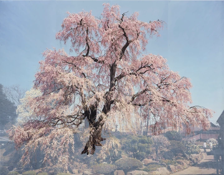 7 most interesting spring exhibitions in Kyiv and Lviv1