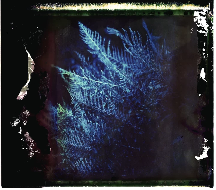 The magic of the Carpathians, women's freedom and sensuality at the photo exhibition "Salty Dews" in Kyiv1