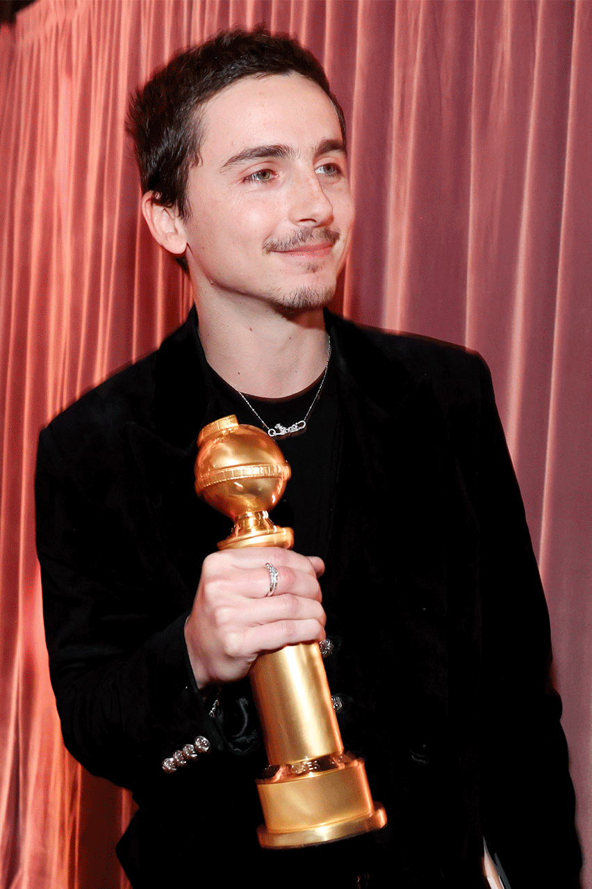 Hollywood's young heartthrobs are the main favorites of the awards season0