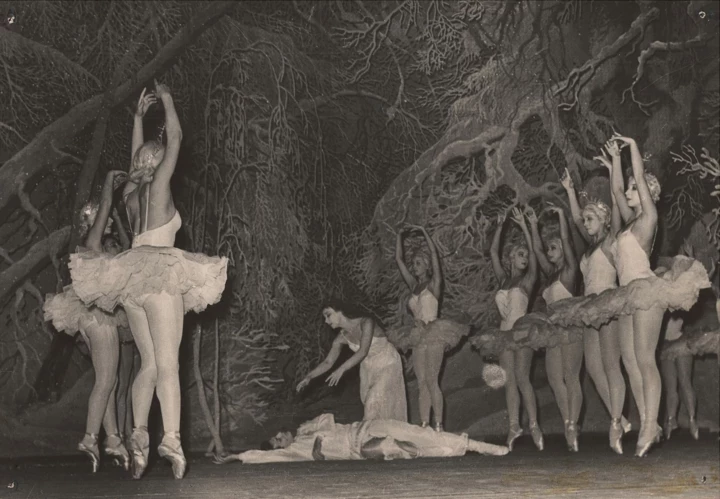 What you need to know about “Forest Song” – the most famous…