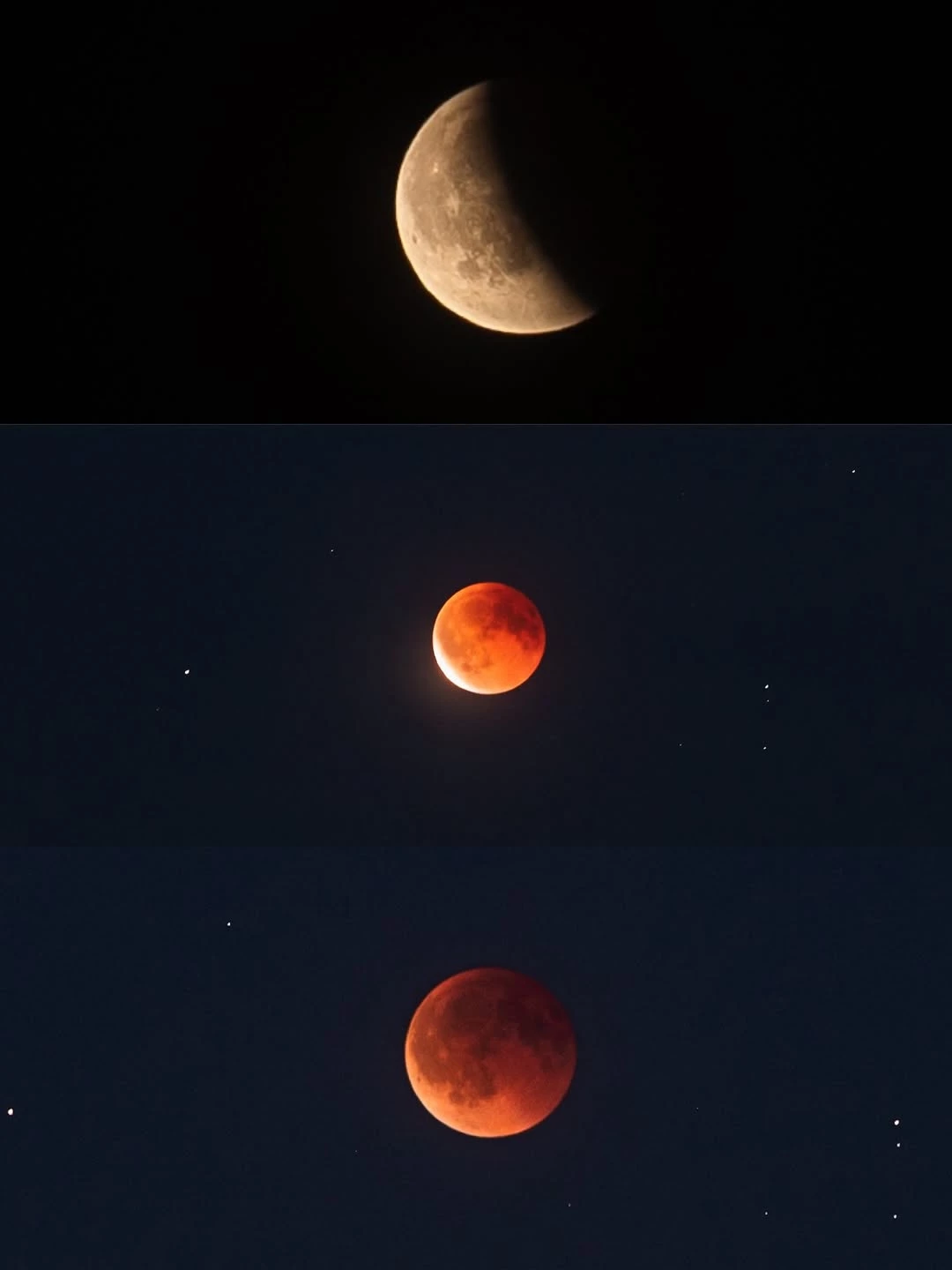 @judy.art.and.nature0