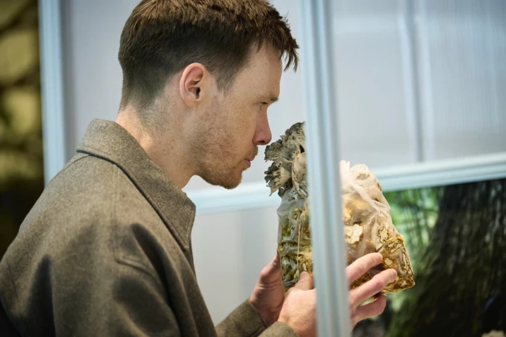 What happened to Amouage: a velvet revolution in a respectable house