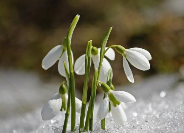 How does spring influence our lives?