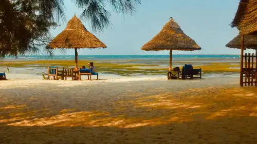 The truth about weight loss and happiness that I learned…