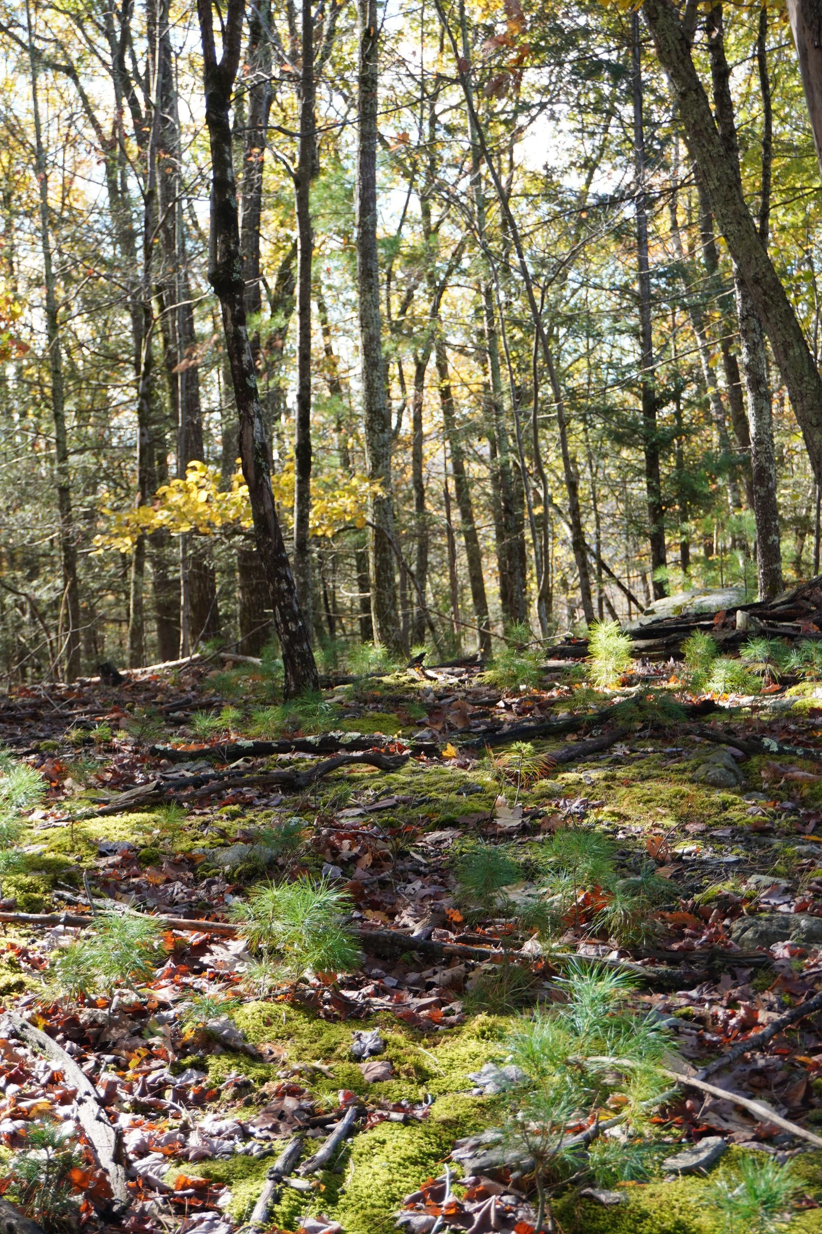 Photo: Courtesy of Marissa Angell5