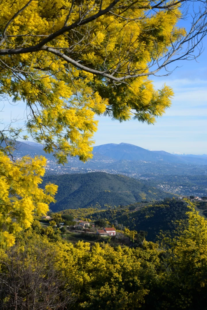 "True creativity is always something new": Interview with Natalie Lorson in Copenhagen2