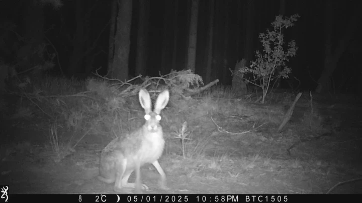 10 poignant works from the exhibition "Chernobyl. Shelter Object"5