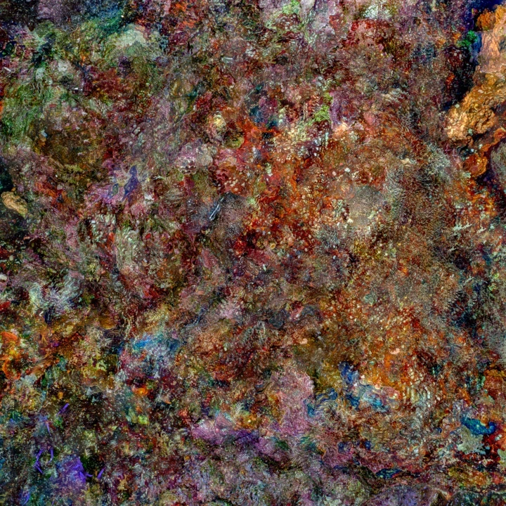 The Photography Show will feature the works of Ukrainian artist Oleksiy Zakhov3