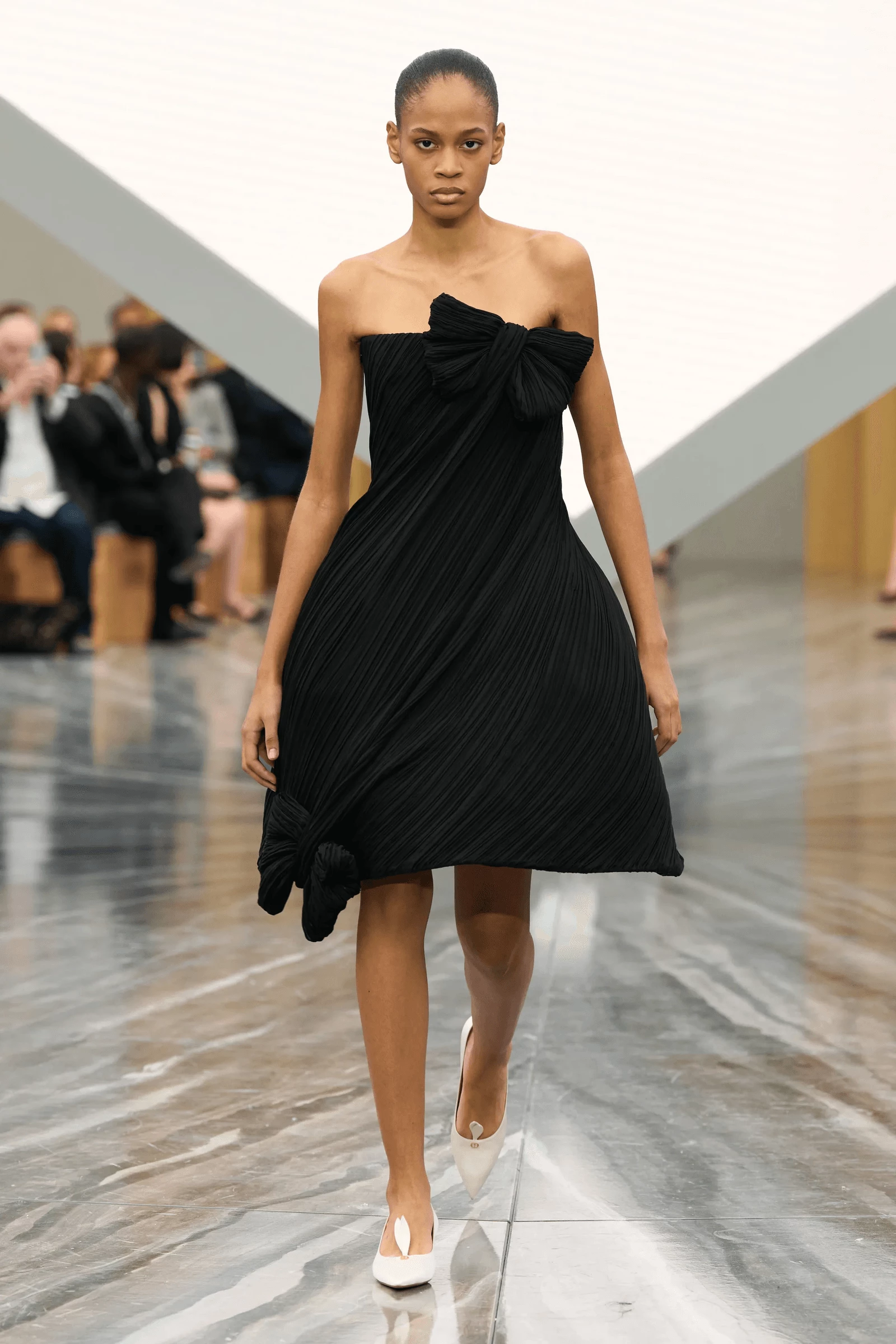 Dior1