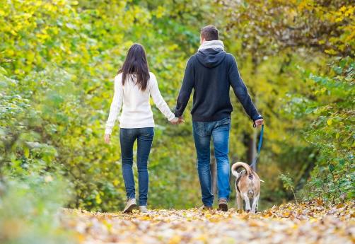 One long walk is more beneficial than several short ones,&hellip;