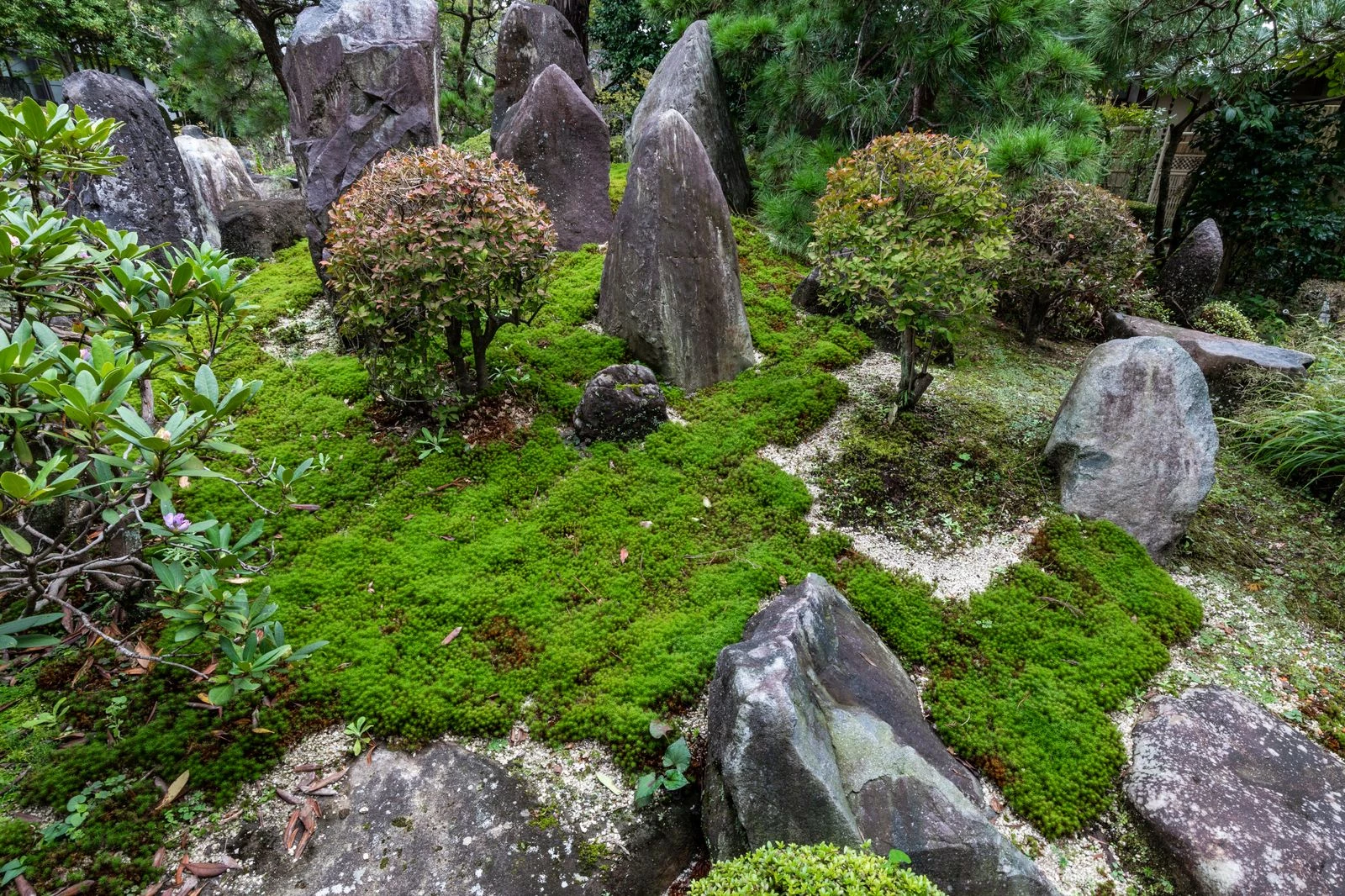 The garden of Gyokurinji Temple in Taito, Japan4