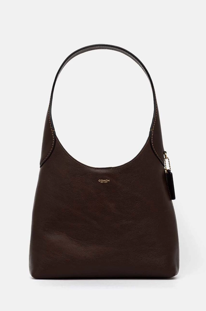 Coach bags are the favorite accessories of famous fashionistas7