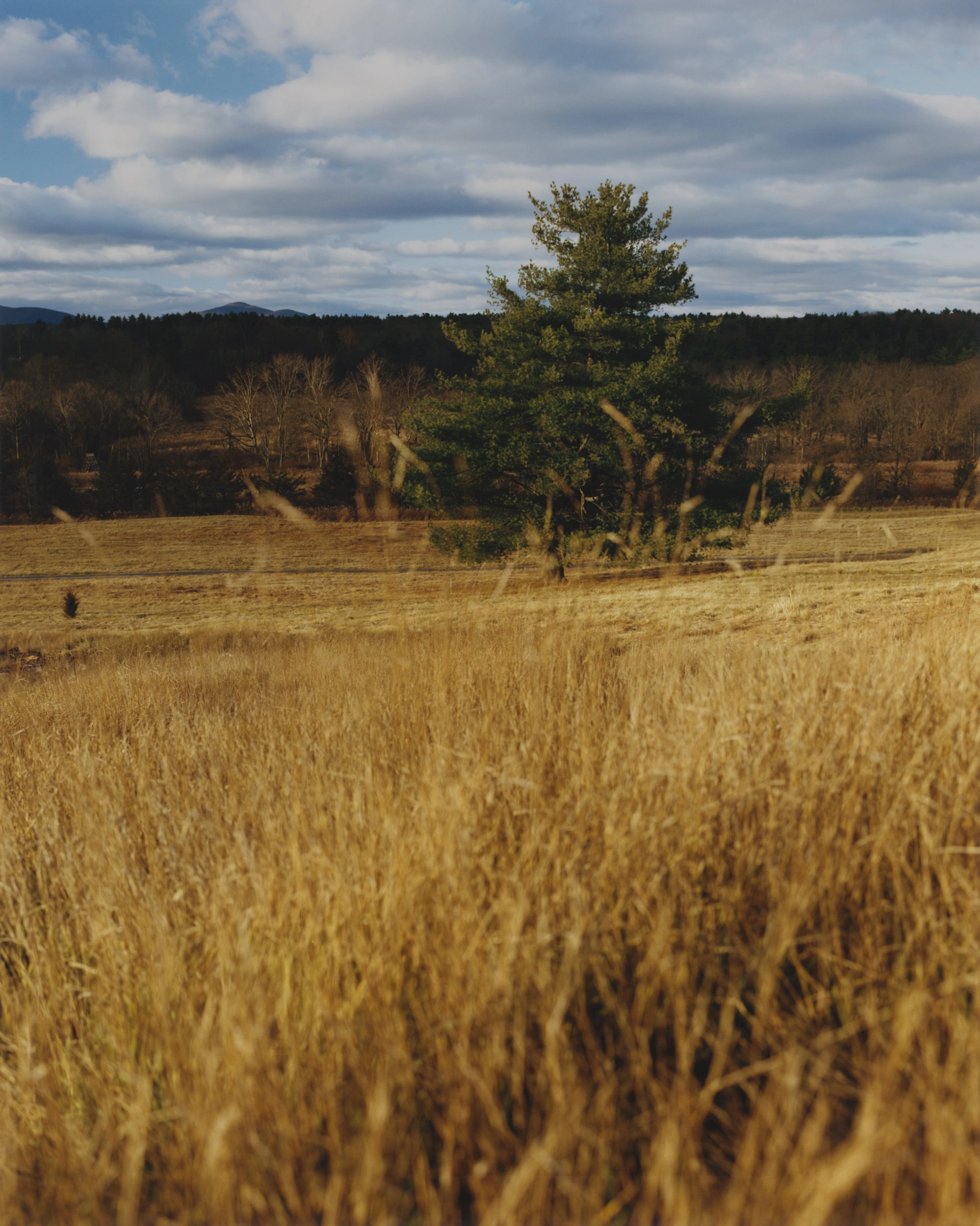 In Search of Silence: A Great Interview with Actress Amanda Seyfried12