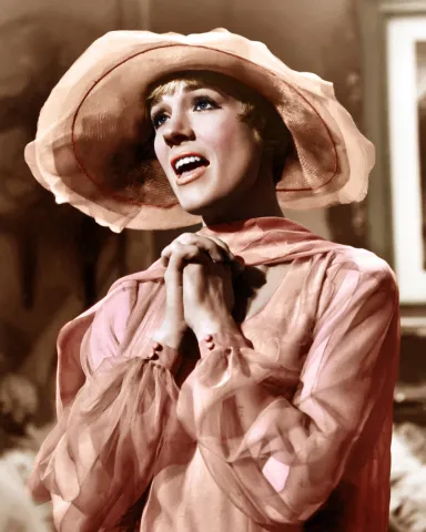 Julie Andrews' Spouses: A Look at Her Two Marriages 9