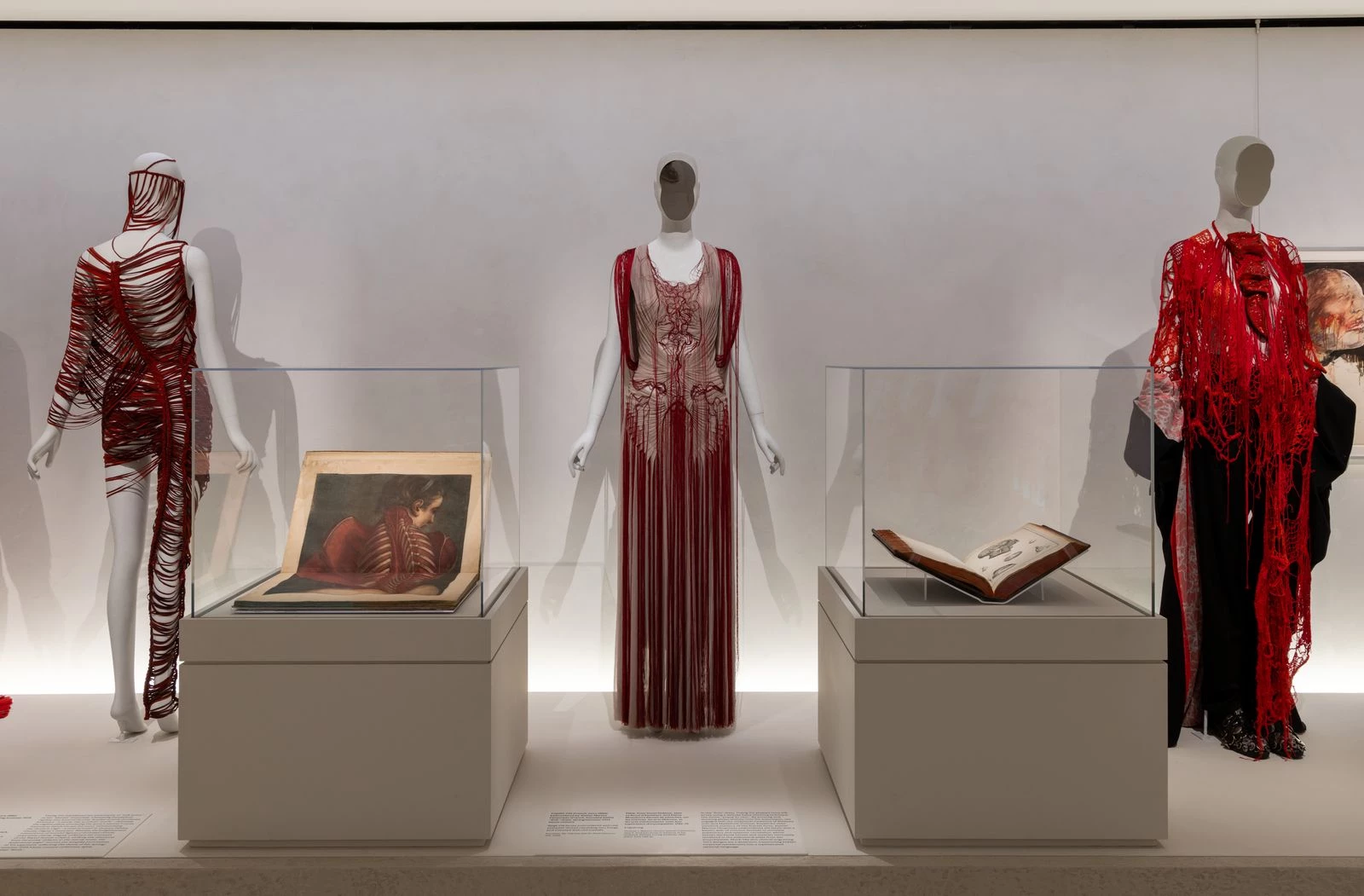 Vital Body section, dedicated to the living body. Photo: © Anna-Marie Kellen / The Metropolitan Museum of Art9